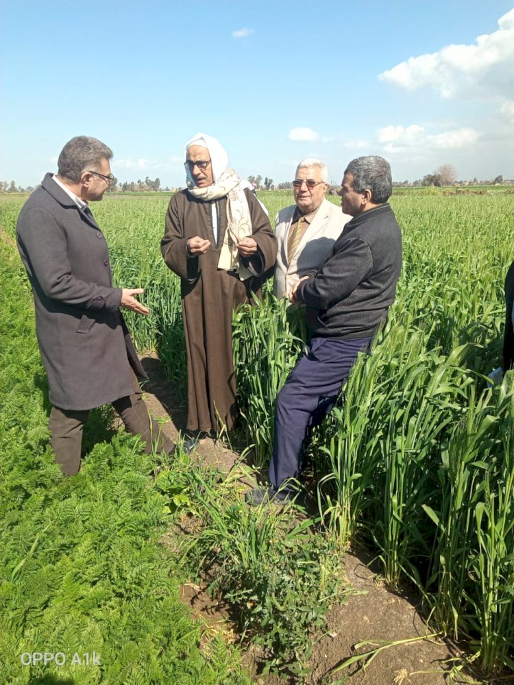 الزراعة: رئيس المكافحة يتابع حالة المحاصيل الشتوية في محافظة الشرقية 