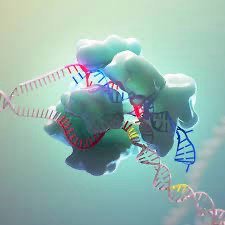 مركز التميز العلمي لأبحاث التركيب البيولوجي بكلية الصيدلة جامعة حلوان ينظم دورة تدريبية دولية عن التحرير الجيني