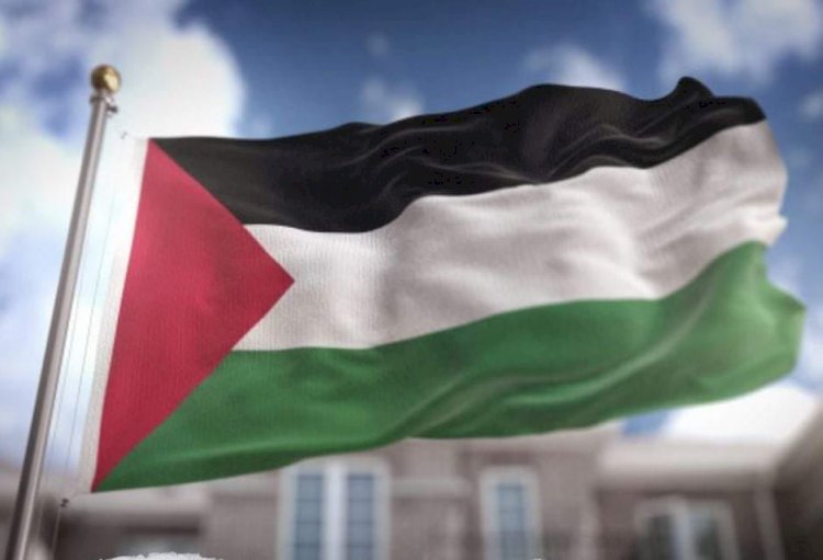 مجلس حقوق الإنسان التابع للأمم المتحدة يعتمد قرارا لصالح فلسطين