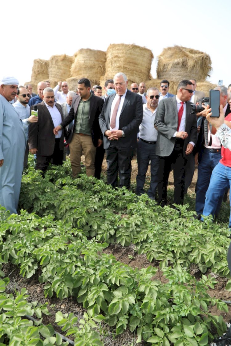 وزير الزراعة يتفقد أحد حقول البطاطس والفراولة تستخدم أساليب الري الحديث 