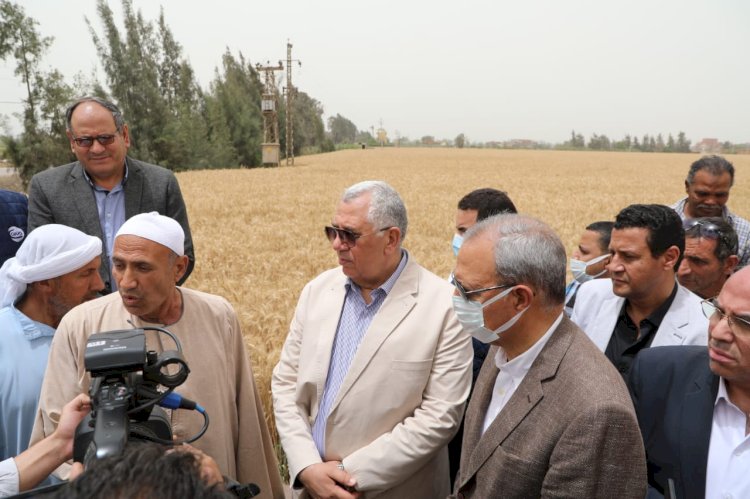 وزير الزراعة ومحافظ القليوبية يتفقدان حقول القمح بالمحافظة