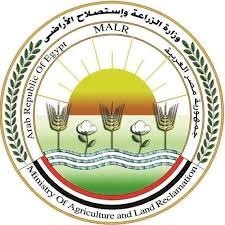 الزراعة: ضبط 150طن أعلاف 2570 عبوة إضافات أعلاف مجهولة المصدر بمحافظة بني سويف