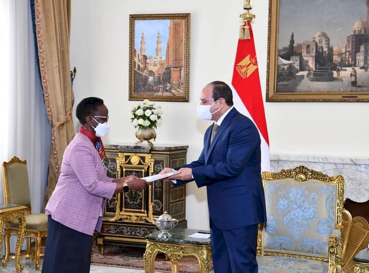 السيسي يؤكد لوزيرة خارجية تنزانيا موقف مصر الثابت بالحفاظ على أمنها المائى وعلى الحقوق التاريخية