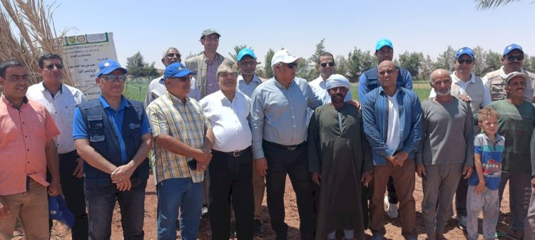 الزراعة: بحوث الصحراء ينفذ 75 مدرسة حقلية في الوادي الجديد بالتعاون مع الفاو