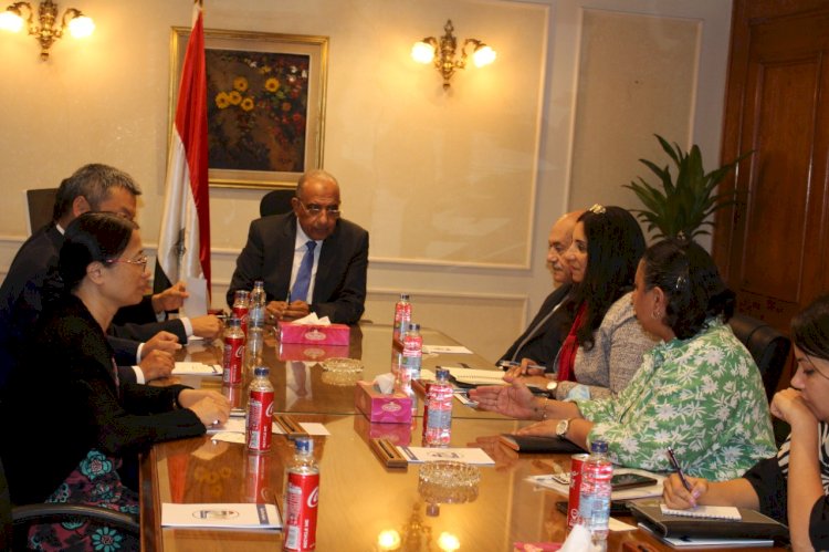 وزير قطاع الأعمال العام يبحث مع "هاندا" الصينية تعزيز التعاون وزيادة استثماراتها في مصر