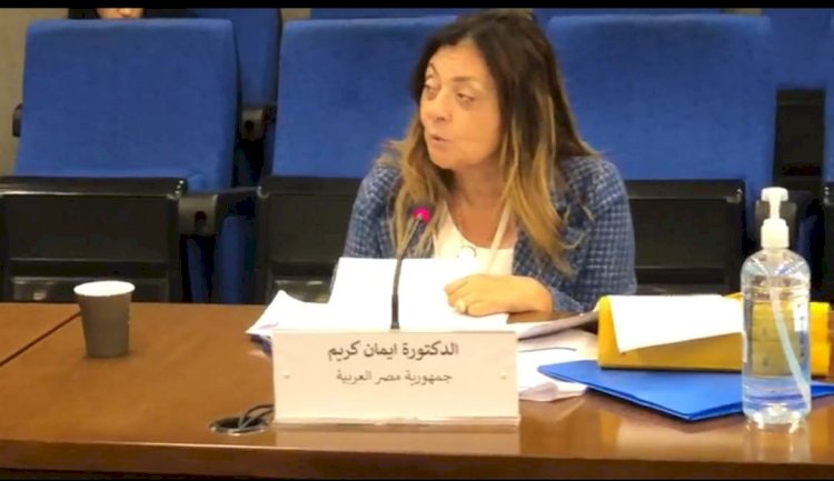 إيمان كريم تشارك في اجتماع مجموعة الخبراء المعنية بقضايا الإعاقة في الدول العربية