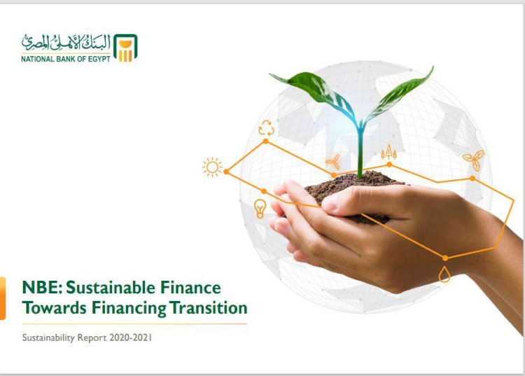 البنك الأهلي المصري يصدر ثلاثة تقارير متخصصة لدعم ملف التمويل المستدام