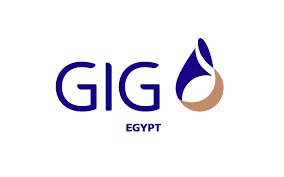 شركة جي آي جي للتأمين – مصر  تحصل علي جائزة أفضل شركة تامين ممتلكات في مصر- 2022
