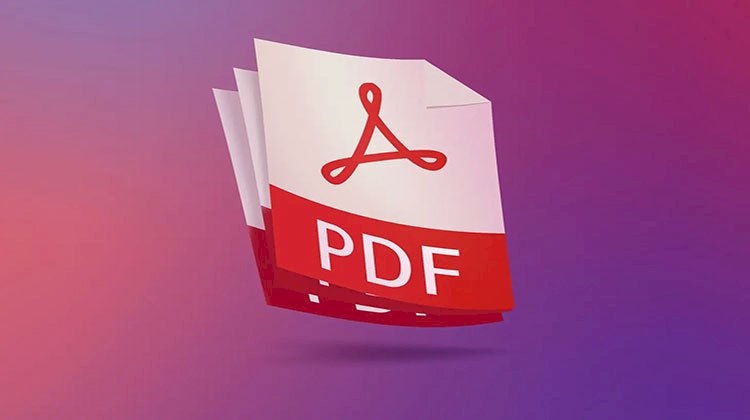 تحذير مهم بشأن مرفقات البريد الإلكترونى بتنسيق PDF