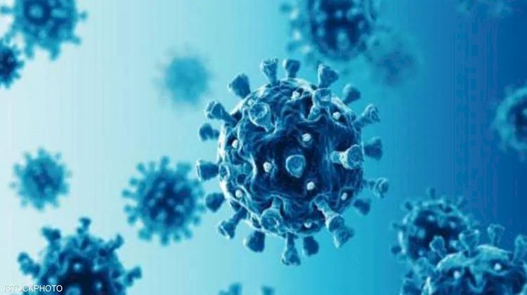 مؤتمر صحة أفريقيا يوصى بضرورة القضاء على فيروس بى فى أفريقيا