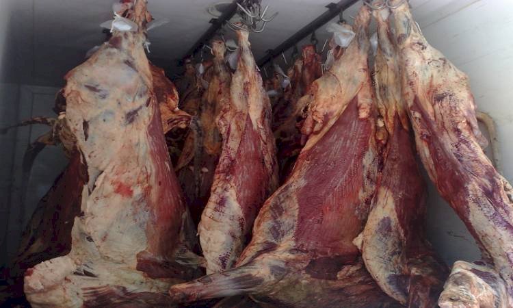 وزير التموين يعلن تنويع مناشئ استيراد اللحوم لتأمين احتياجات المواطنين