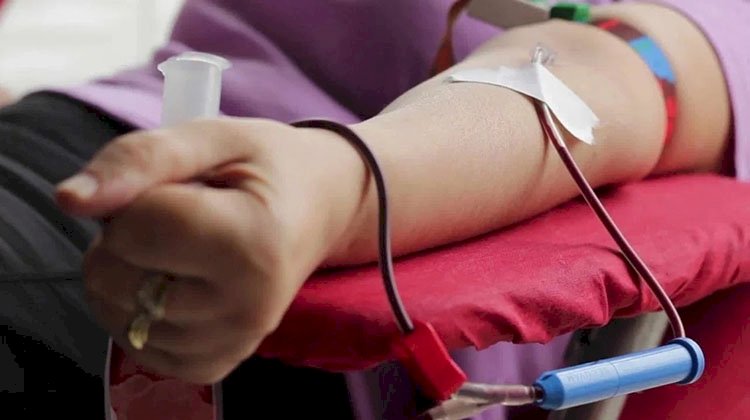 الجزائر تستضيف فعاليات اليوم العالمي للمتبرعين بالدم