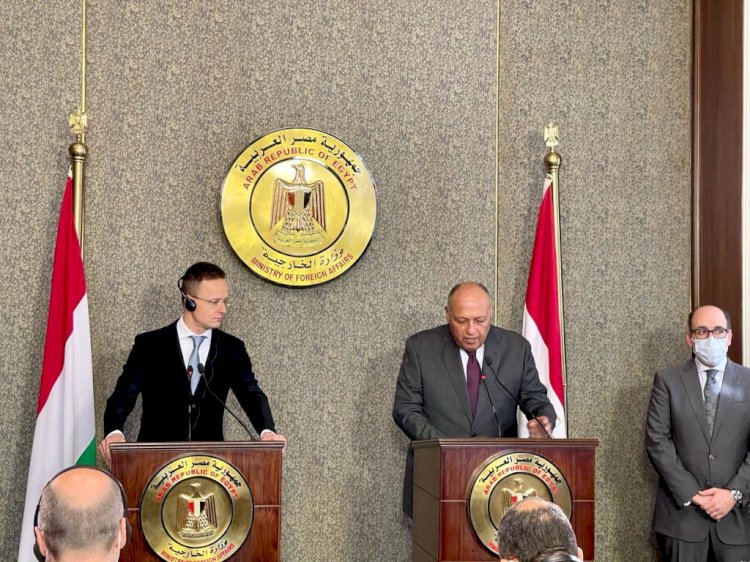 وزير الخارجية: نسعى لمزيد من الاستثمارات الأوروبية فى مصر .. تفاصيل