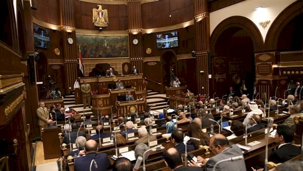 برلماني يطالب بإنشاء تعاونيات ثقافية ويؤكد: مصر دولة عظمى عالميًا في الحضارة