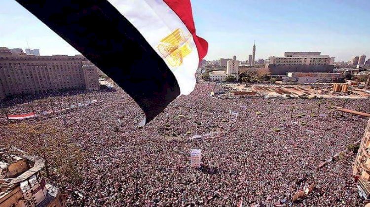 عضو مجلس الشيوخ: 30 يونيو أعادت الهيبة والكرامة للمصريين