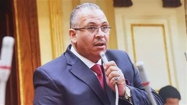 برلماني: مصر تعمل جاهدةً لحل مشاكل إفريقيا