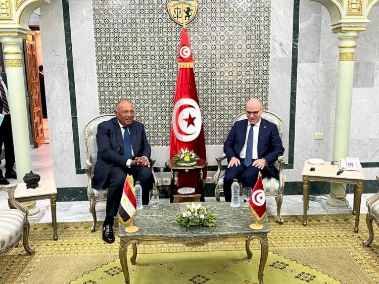 تفاصيل لقاء وزير الخارجية المصري ونظيره التونسي