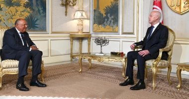 وزير الخارجية ينقل رسالة من الرئيس السيسي إلى الرئيس قيس سعيد