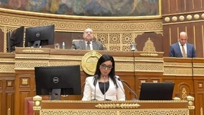 برلمانية : تقرير فورين بوليسي كله كذب وادعاءات وافتراءات ضد مصر