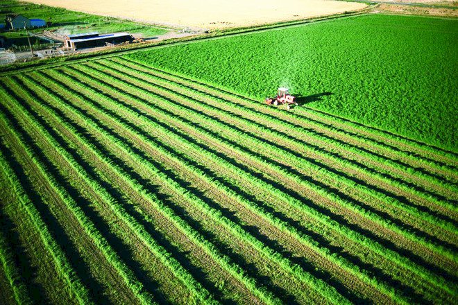 نقيب الزراعيين يبرز خطة الدولة لمضاعفة الأراضى الزراعية بمطروح خلال 10 سنوات