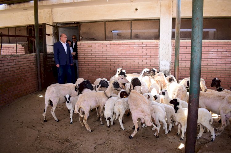النعماني في زيارته الأولي لمزرعة جامعة سوهاج يؤكد دعمه لزيادة الإنتاجية وتوسيع رقعة المساحات المنزرعة