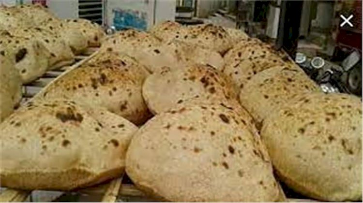 التموين تتابع إنتاج الخبز المدعم طبقا للمواصفات