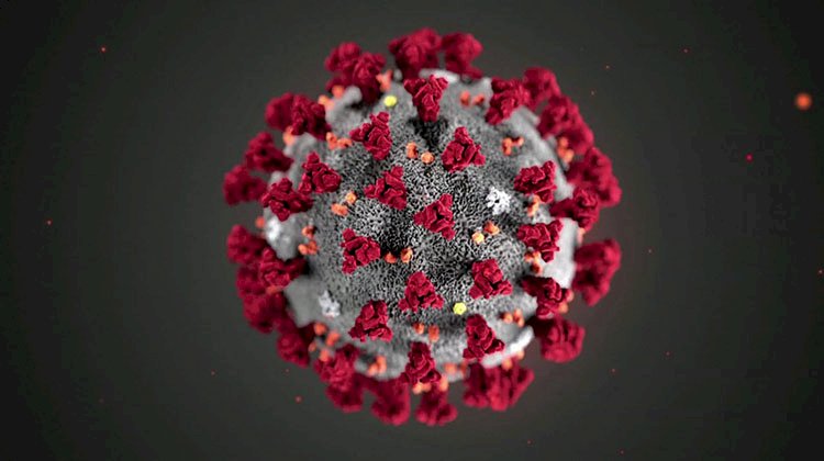 الصحة تؤكد إيجابية حالتين لفيروس كورونا من سلالة المتحور إيريس EG-5.2