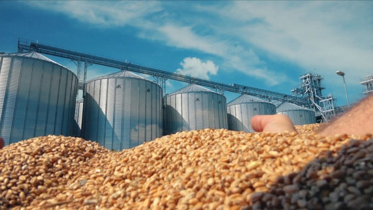 مصطفى مدبولى: مصر مستعدة لاستضافة مخزن عالمى لتوريد وتخزين الحبوب