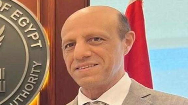 محمد الصياد نائبا لرئيس مجلس إدارة هيئة الرقابة المالية