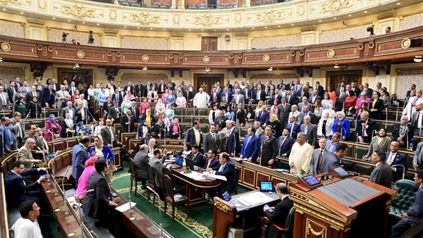 برلماني: مصر تقدّم للعالم وثيقة مهمة لإنقاذه من مخاطر الفضاء الإلكتروني