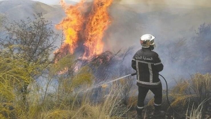 من أصل 59.. إخماد 41 حريقًا في 11 ولاية بالجزائر