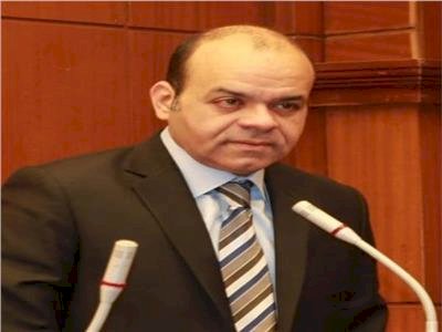 عضو مجلس شيوخ: الحوار الوطني نموذج للديمقراطية في مصر
