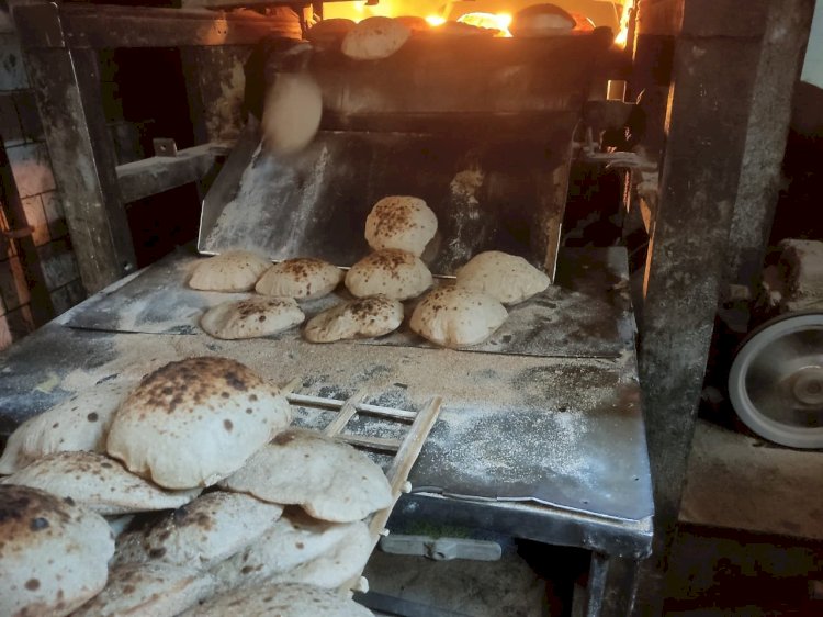 غلق مخبز والتحفظ على 299 حالة إشغال وتحرير 21 محضرا شرقي الإسكندرية