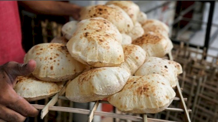 حقيقة إصدار قرار بإلغاء فارق نقاط الخبز المدعم للبطاقات التموينية