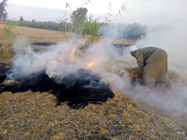 تحرير 10 محاضر ضد مزارعين حرقوا قش الأرز في كفر الشيخ