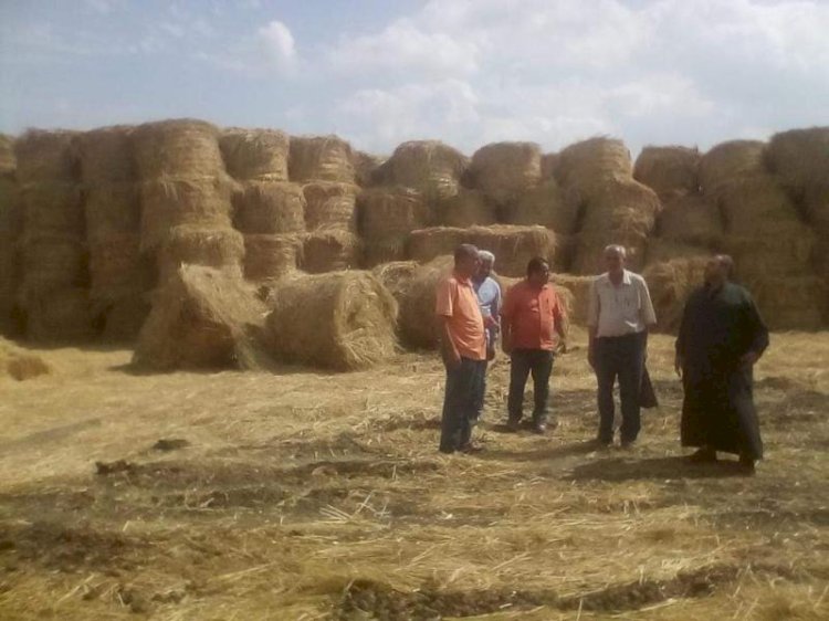 وزير الزراعة يوجه بتكثيف حملات التوعية بمنظومة تجميع وتدوير قش الأرز 