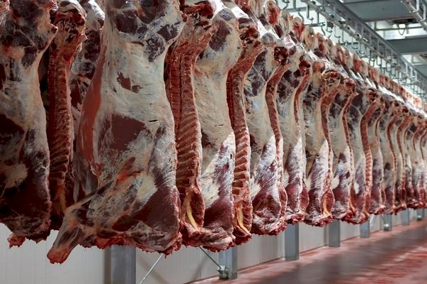 أسعار اللحوم في مصر اليوم الإثنين