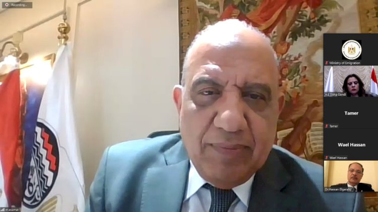  وزيرا قطاع الأعمال والهجرة في حوار مشترك مع المستثمرين المصريين بالخارج