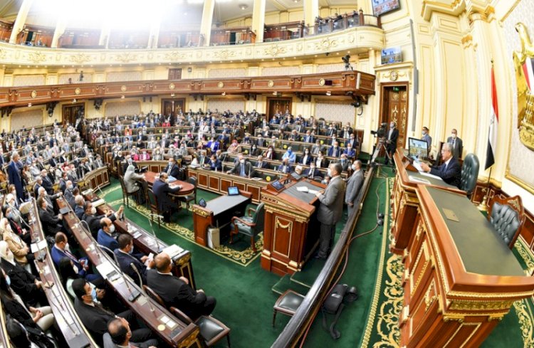برلمانية: بيان مجلس النواب بشأن القضية الفلسطينية تاريخي