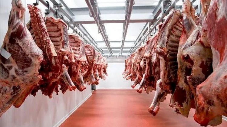 أسعار اللحوم في مصر اليوم الخميس