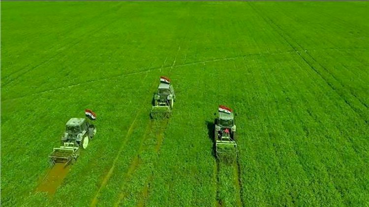 وزير الزراعة: سيناء شهدت تنمية زراعية غير مسبوقة في عهد الرئيس السيسي 