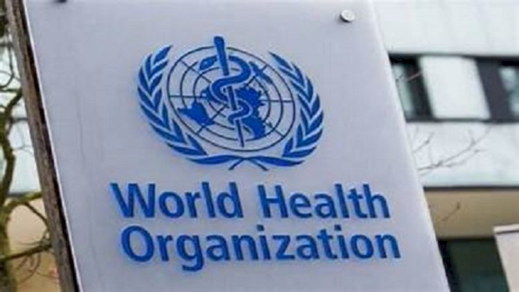منظمة الصحة العالمية: الهجمات على الرعاية الصحية في قطاع غزة غير مقبولة