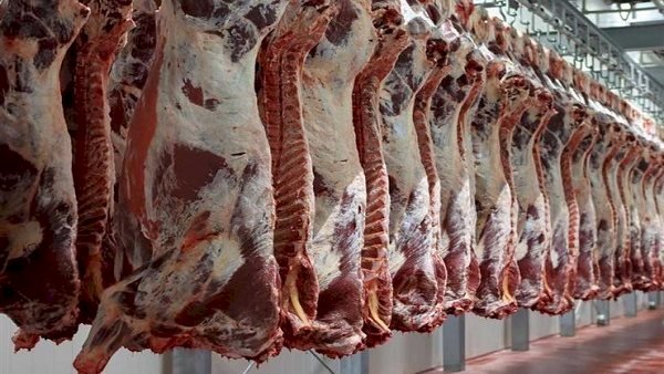 أسعار اللحوم في مصر اليوم الأحد