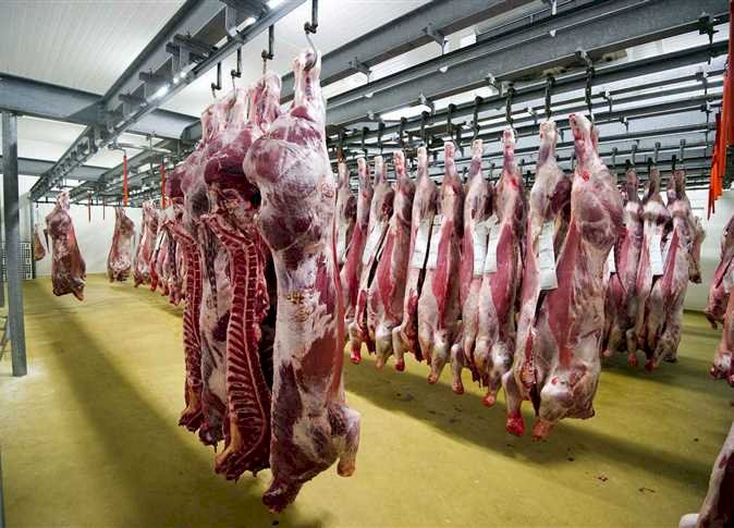 أسعار اللحوم في مصر اليوم الخميس   