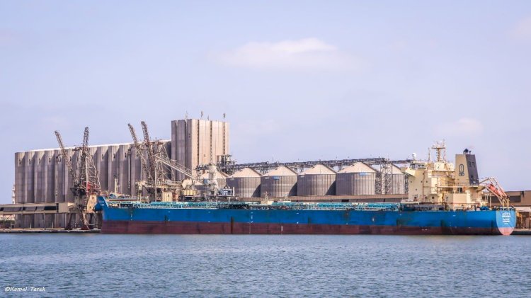 ميناء دمياط يستقبل سفينة مصرية على متنها 63000 طن قمح روسي
