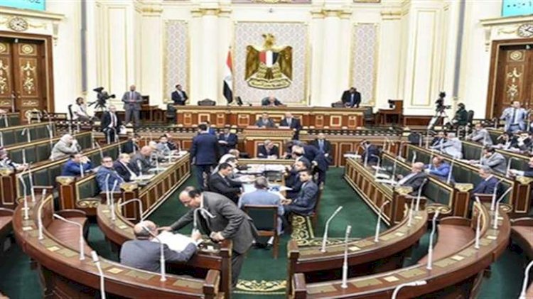 لجنة الشئون العربية بالنواب: جهود مصر مستمرة لدعم القضية الفلسطينية