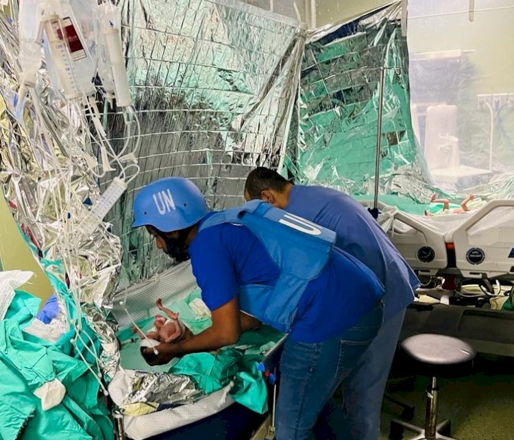 بعثة الأمم المتحدة والهلال الأحمر المشتركة تُجلي 31 رضيعًا من مستشفى الشفاء في غزة بقيادة منظمة الصحة العالمية  