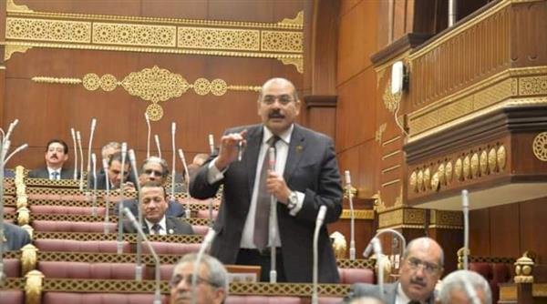 برلمانى: نراهن على وعى المصريين فى تلك المرحلة الفارقة من عمر الوطن   