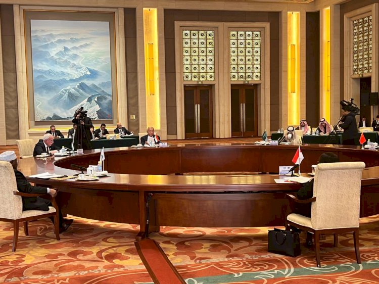 وزير الخارجية وأعضاء اللجنة الوزارية يلتقي في بكين نائب الرئيس الصيني 