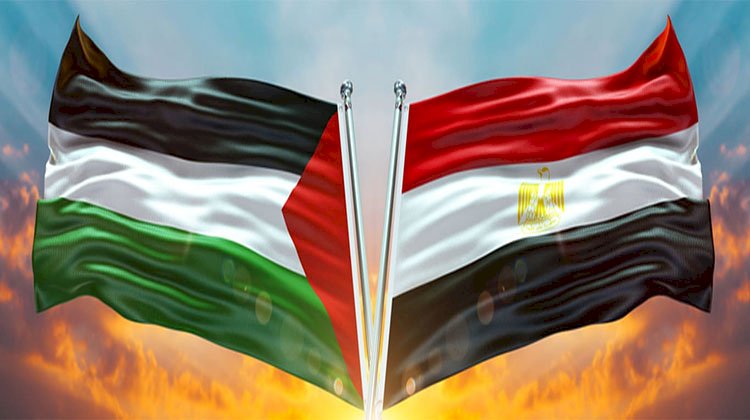 مصر تحيي اليوم الدولي للتضامن مع الشعب الفلسطيني